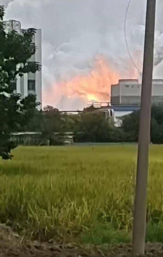 澄星股份工厂发生火灾？附近酒店：已灭火<strong></p>
<p>链币</strong>，有刺激性气味，建议不开窗