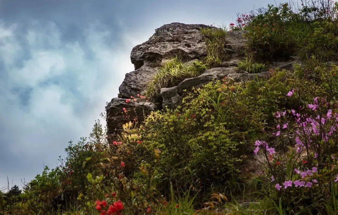 为什么年轻人迷上了爬山？ | 秋高气爽<strong></p>
<p>cbb炒币</strong>，是时候出发了→