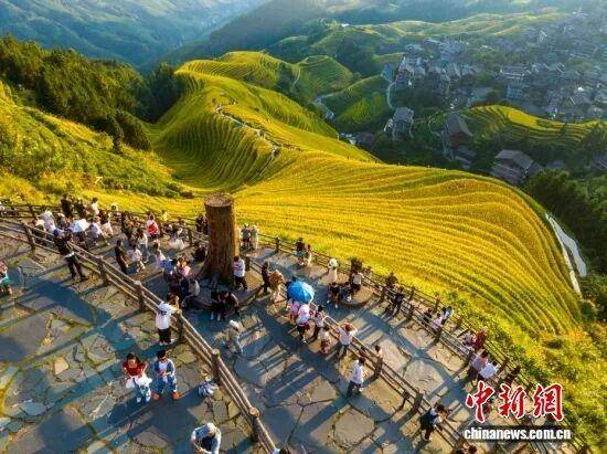 金秋<strong></p>
<p>币圈公司</strong>，广西的梯田一点不输！