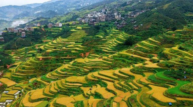 金秋<strong></p>
<p>币圈公司</strong>，广西的梯田一点不输！