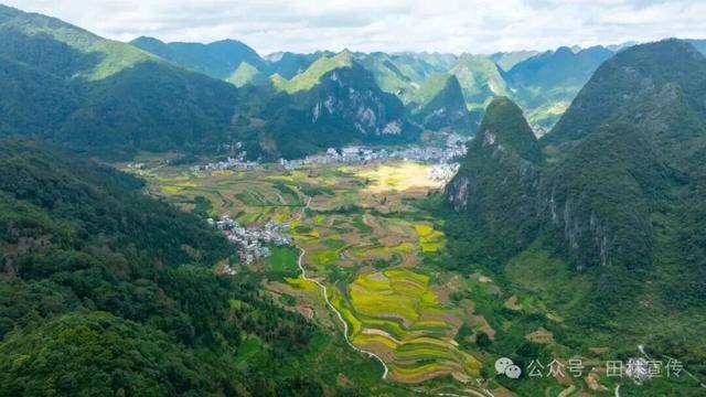 金秋<strong></p>
<p>币圈公司</strong>，广西的梯田一点不输！