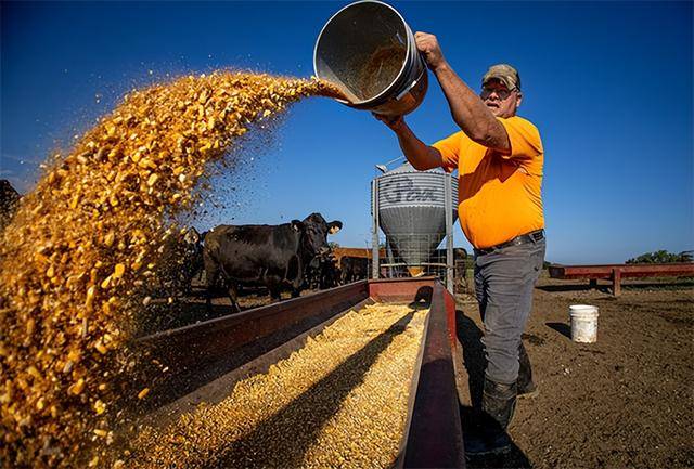 又输给了李成钢<strong></p>
<p>币得云</strong>，贝森特承诺：美方不再考虑对华加征100%关税