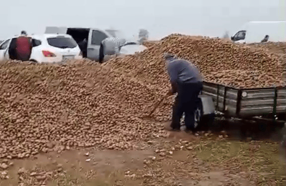 波兰68岁农民收获的150吨土豆被一夜搬空<strong></p>
<p>币得云</strong>， 只因帖子遭篡改