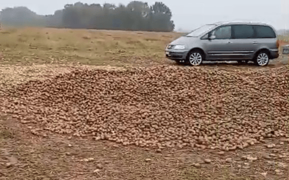 波兰68岁农民收获的150吨土豆被一夜搬空<strong></p>
<p>币得云</strong>， 只因帖子遭篡改