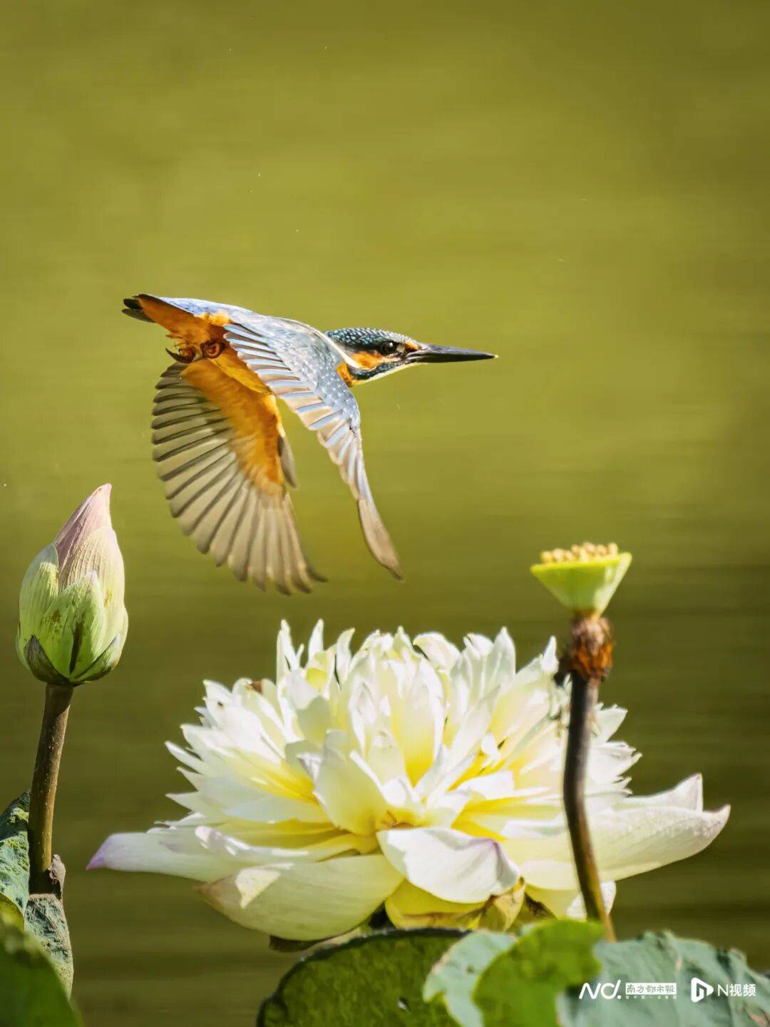 东莞最新发布：将严厉打击这些行为<strong></p>
<p>亚泰坊币</strong>！