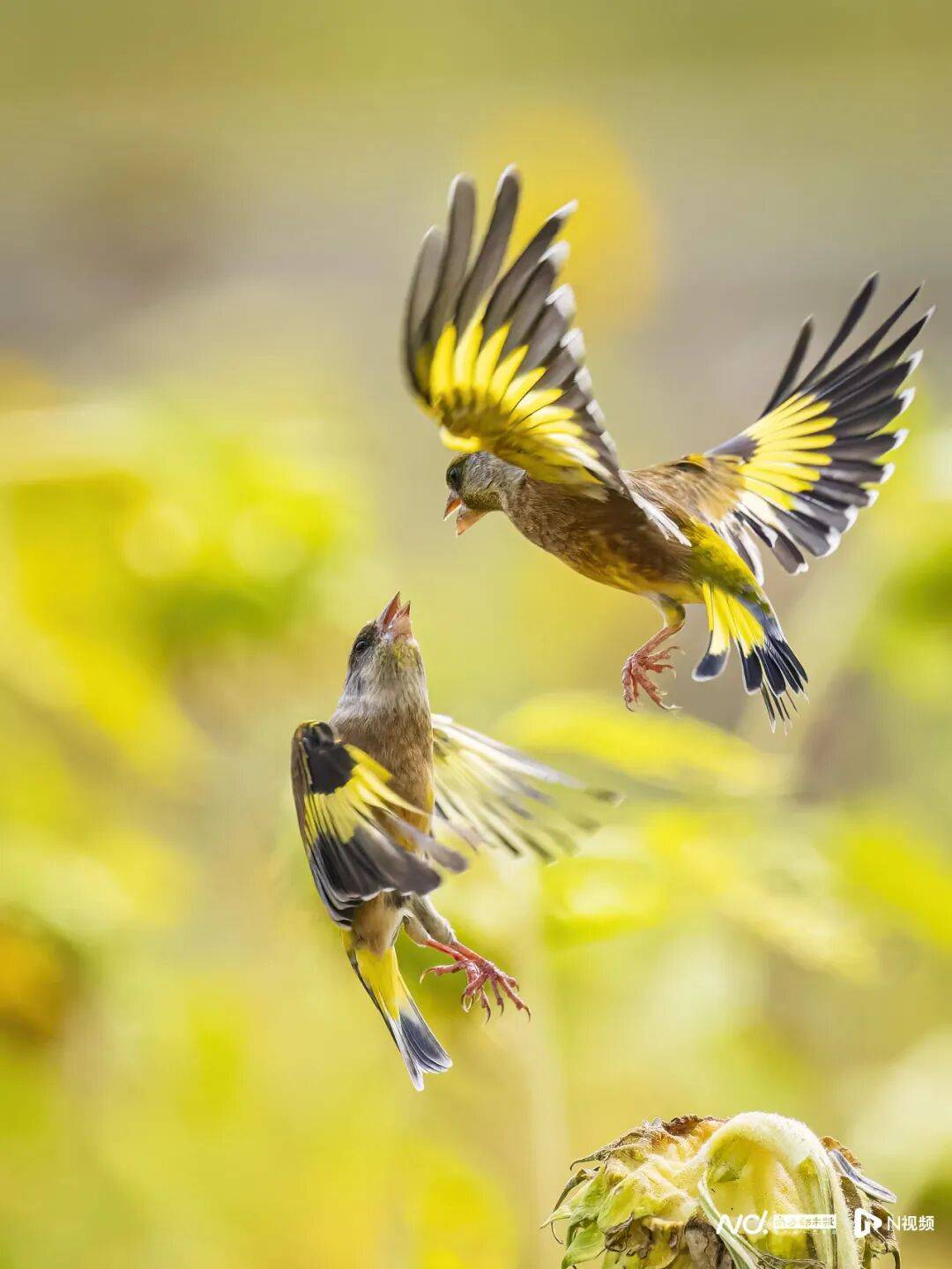 东莞最新发布：将严厉打击这些行为<strong></p>
<p>亚泰坊币</strong>！