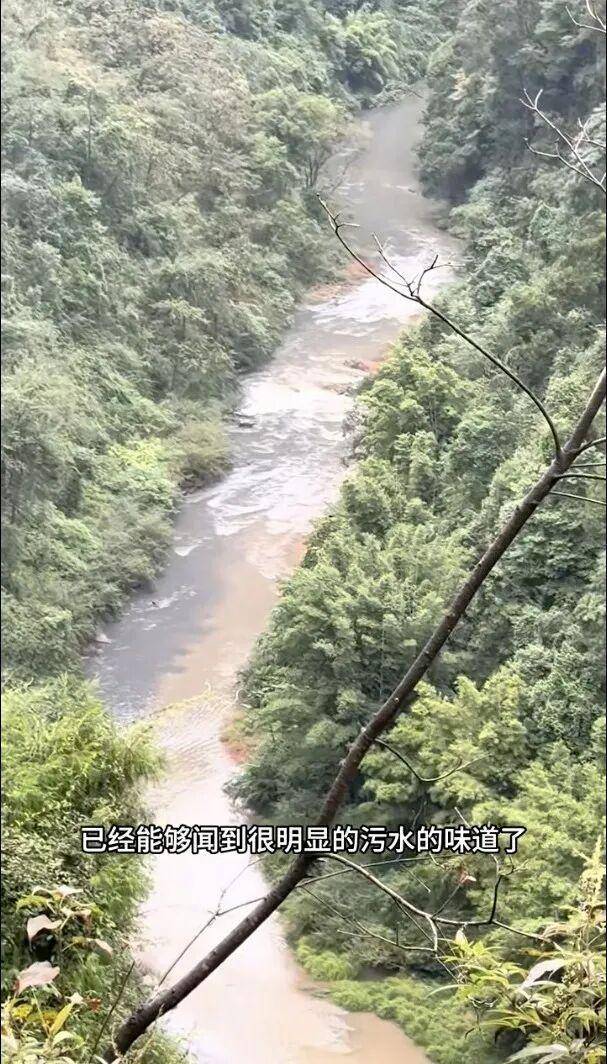 重庆通报：坚决查处<strong></p>
<p>炒币的方法</strong>，绝不姑息