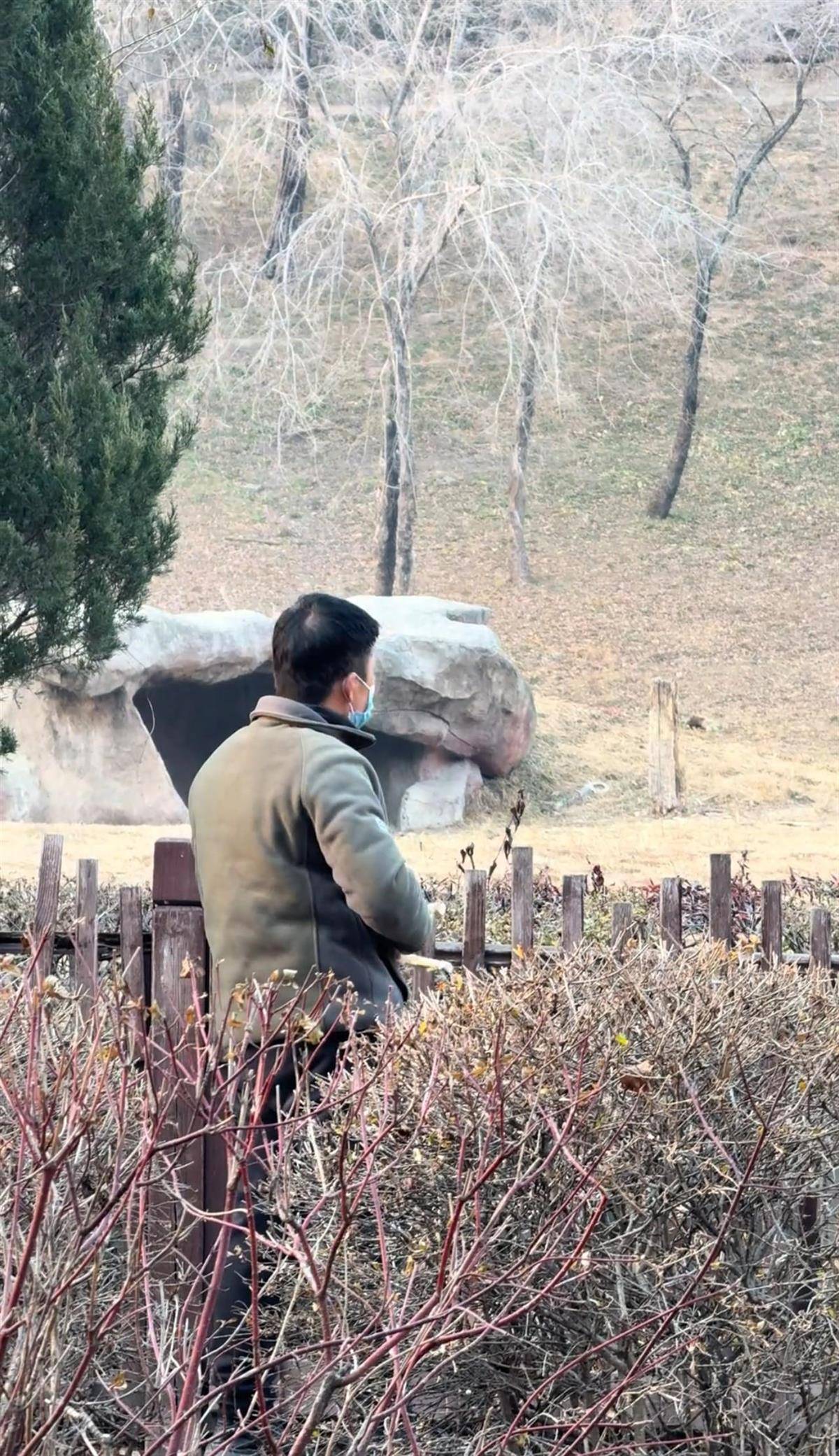 沈阳一男子动物园内用弹弓射老虎<strong></p>
<p>交易台</strong>，目击者称其“填装了弹丸”，打完后老虎爬起来了，园方：正在核实情况