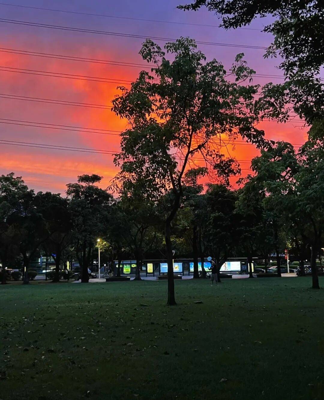 第一批丁克老后<strong></p>
<p>交易台</strong>，“伴侣能陪一程，但最后都要靠自己”