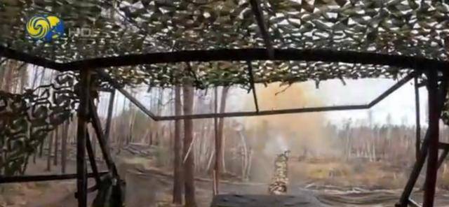 俄军透露红军城市区作战细节<strong></p>
<p>共生币行情</strong>，乌军战斗骨干躲入地下管道