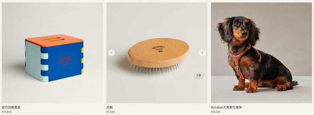 爱马仕新上架2万元不锈钢狗碗<strong></p>
<p>共生币行情</strong>，客服：只剩少量库存