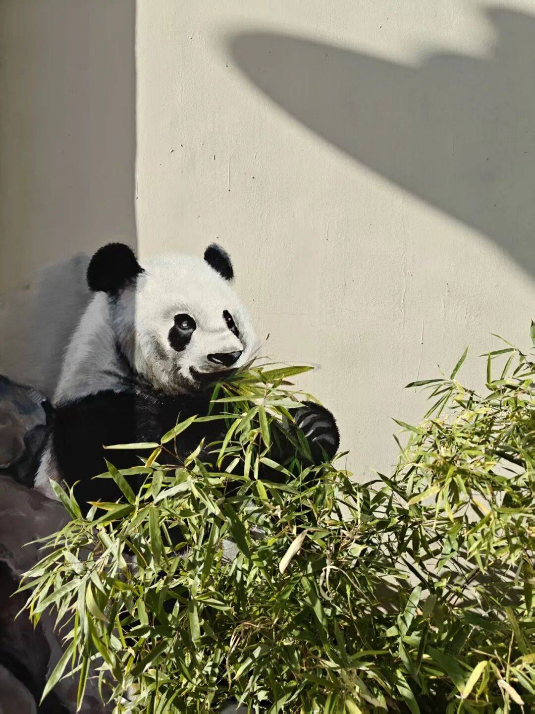 “颜值”出圈 天津和平区独山路这面彩绘墙“亮”<strong></p>
<p>炒币规则</strong>了