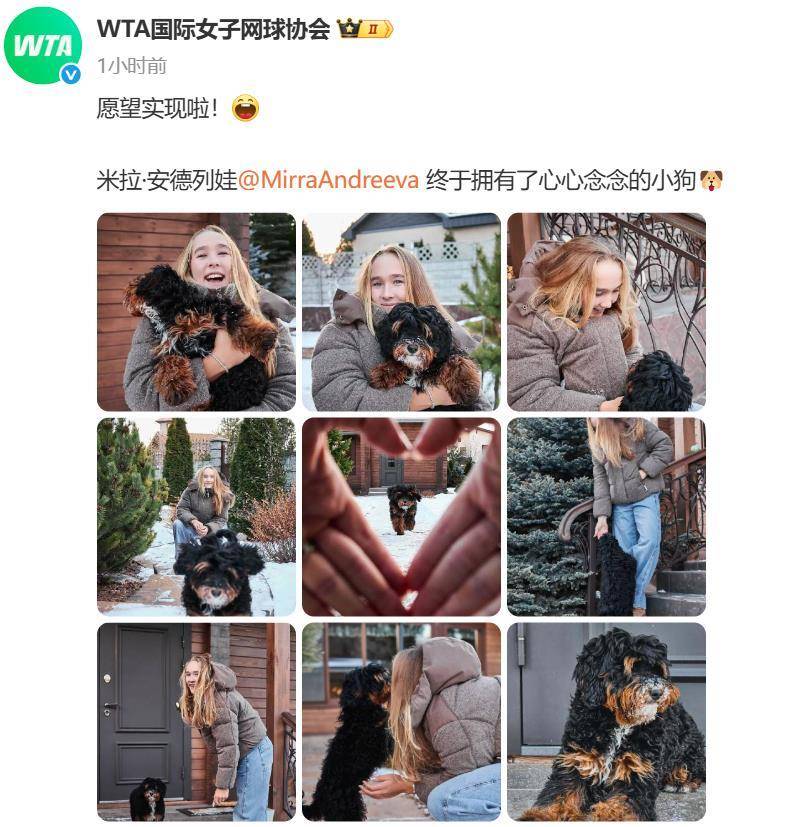 “小米辣”终于有了自己的小狗！曾说养狗是赢球的动力<strong></p>
<p>币圈的社区</strong>，WTA官方发“贺信”：愿望实现啦！