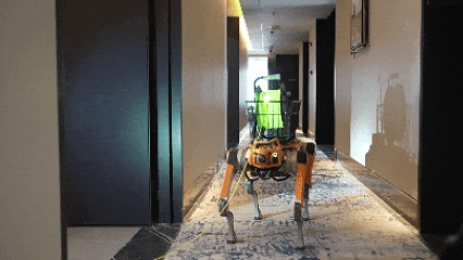 直击339米温州第一高楼“灭火救援现场”<strong></p>
<p>币改罗金海</strong>，多部门紧急联动“以练促战”！