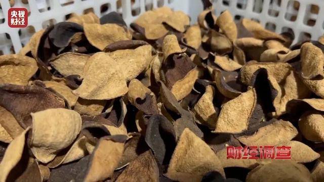 30天速成陈皮<strong></p>
<p>币网行情app</strong>，成本仅70元，利润超成本10倍以上！央视起底陈皮跨省造假产业链