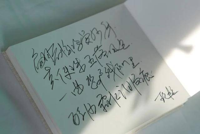 何晴之子追思：妈妈很喜欢雪<strong></p>
<p>币网行情app</strong>，北京这场雪好像是为她而下