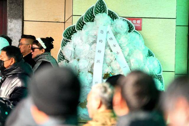 何晴之子追思：妈妈很喜欢雪<strong></p>
<p>币网行情app</strong>，北京这场雪好像是为她而下