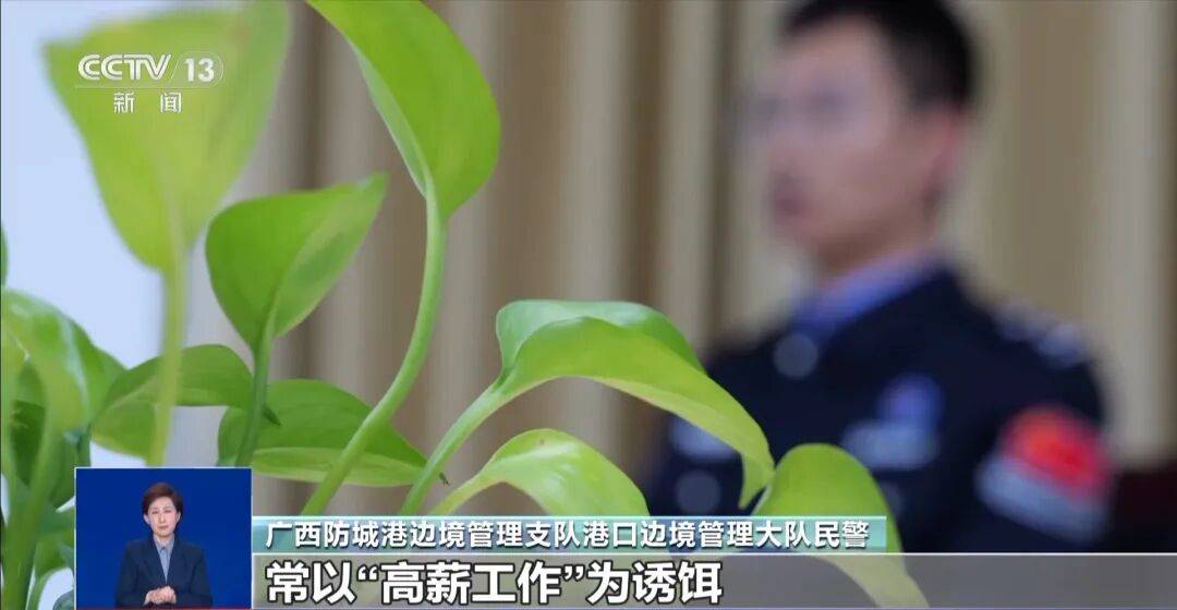 央视披露：男子在网吧厕所墙上看到“高薪日结5000-20000”广告<strong></p>
<p>币圈造富神话</strong>，即将出境时被警方拦下