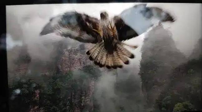 土耳其老鹰空中抓走无人机<strong></p>
<p>炒币神器</strong>，带上山顶“玩自拍”