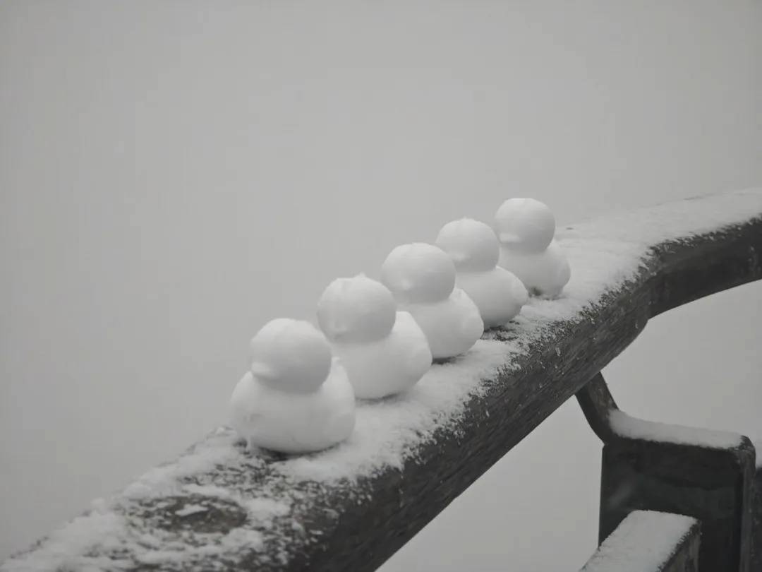 直降10℃<strong></p>
<p>蘑菇币</strong>！南京又要下雪了